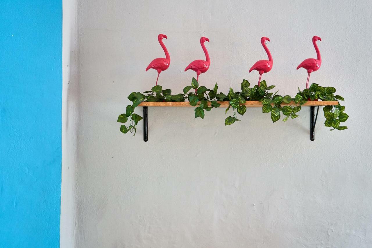 Hostal Americana Guadalajara Zewnętrze zdjęcie